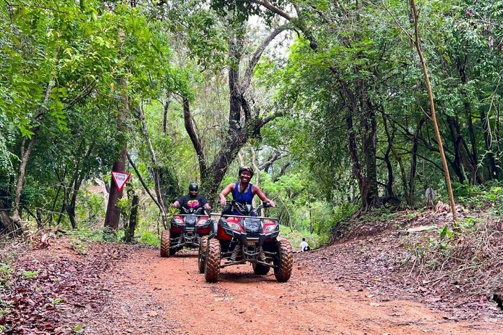 Buggy Cocoa, Coffe, cigar testing. Water Cave, Beach Punta Cana - Photo 1 of 5